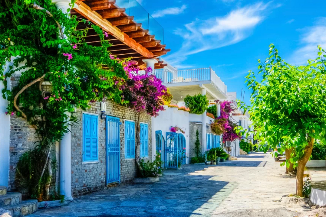 Seçenekli Bodrum Turu